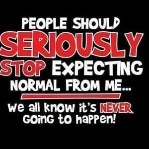 Meet your Posher, Lucy